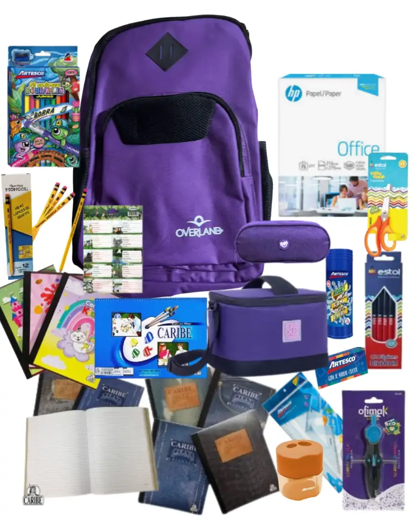 Clásico Escolar Primaria Morado